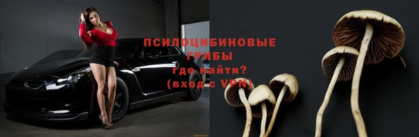 Альфа ПВП Абдулино
