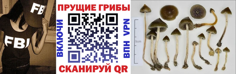 Галлюциногенные грибы прущие грибы  Орск 